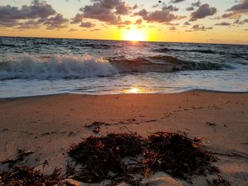 Scenic view of beach during sunset