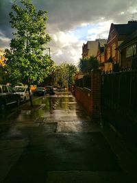 Trees in city against sky