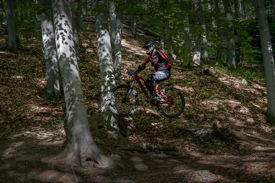 Man riding motorcycle on road amidst trees in forest