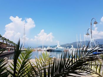 Sailboats moored in bay against sky