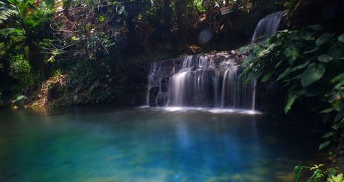 Scenic view of waterfall in forest