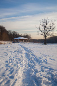 Bare trees on snow covered field against sky