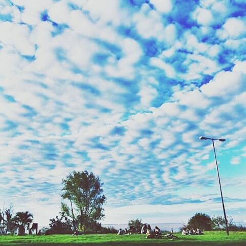 sky, cloud - sky, tree, grass, cloudy, field, cloud, blue, landscape, tranquility, tranquil scene, nature, scenics, beauty in nature, transportation, day, outdoors, growth, low angle view, green color