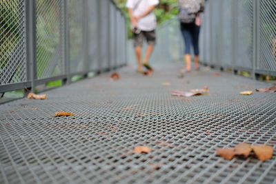 Low section of people walking on footpath