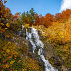 Scenic view of waterfall in forest during autumn