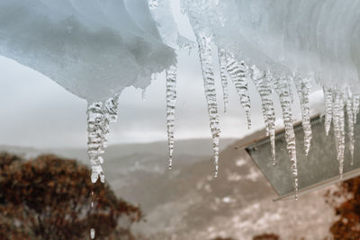 Close-up of icicles