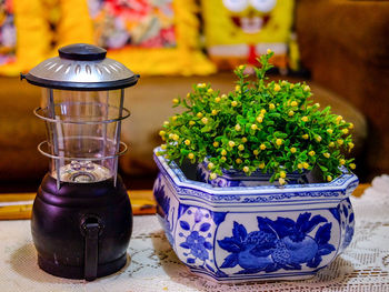 Close-up of flower on table