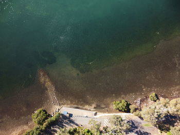 High angle view of sea and trees