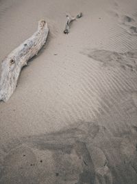 High angle view of driftwood on beach