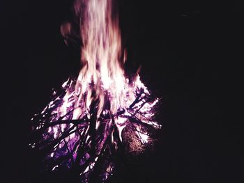 Low angle view of tree at night