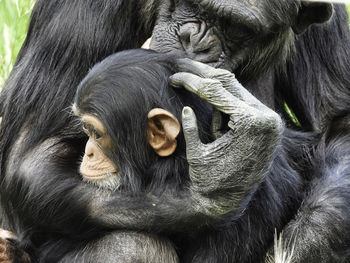 Mother showing all her affection to her baby