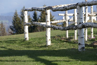 Fence on field against sky