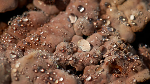 Full frame shot of wet glass