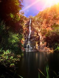 Sun shining through trees