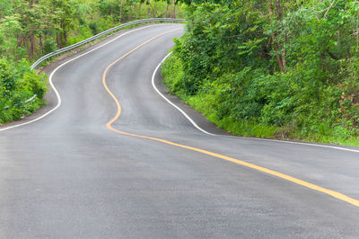 Empty road amidst trees