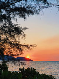 Scenic view of sea against orange sky