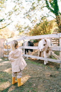 Rear view of woman with horse standing on field