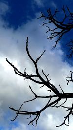 Low angle view of bare tree against cloudy sky