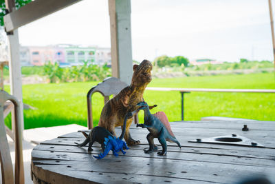 Full length of a cat