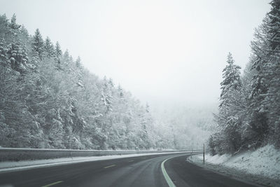 Road amidst trees during winter