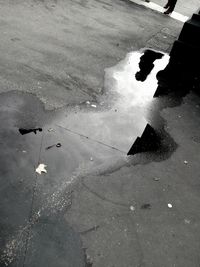 Reflection of trees in puddle