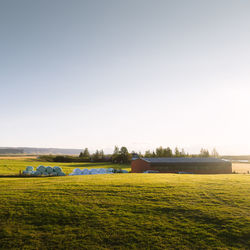 Scenic view of field against clear sky