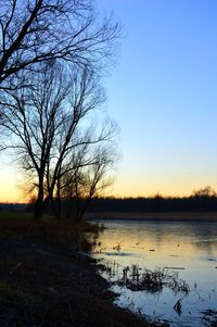Trees on shore against sky during sunset