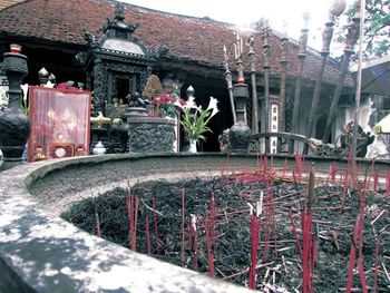 View of plants against the wall