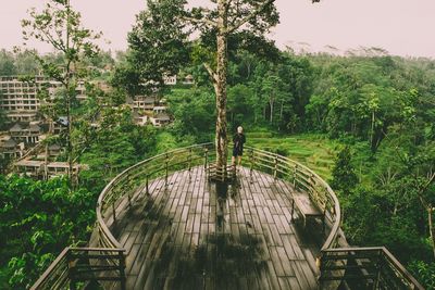 High angle view of man standing by trees against sky