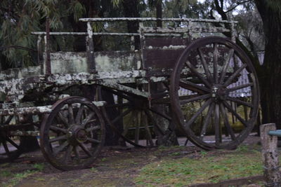 Abandoned wheel in forest