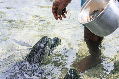 Man holding fish in water