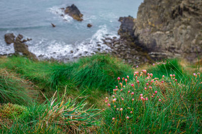 Scenic view of sea and rocks on beach