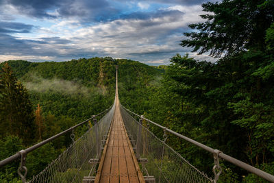 Footbridge amidst trees in forest against sky