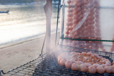 Close-up of food in sea during sunny day