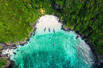 High angle view of man swimming in sea