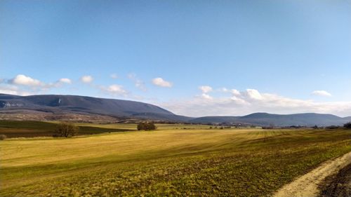 Scenic view of field against sky