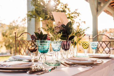 Potted plants on table