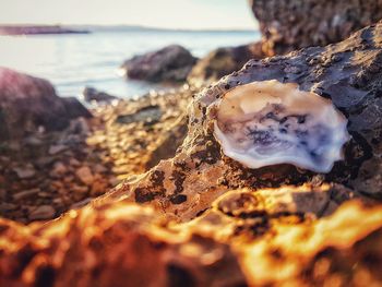 Close-up of rocks on beach against sky