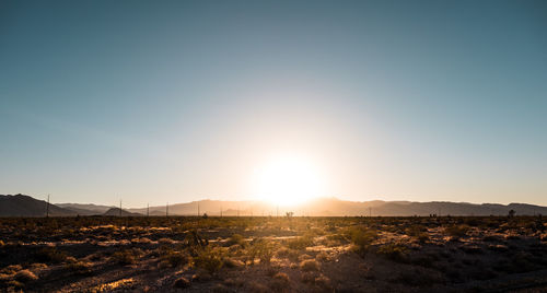 Scenic view of field against sky during sunset