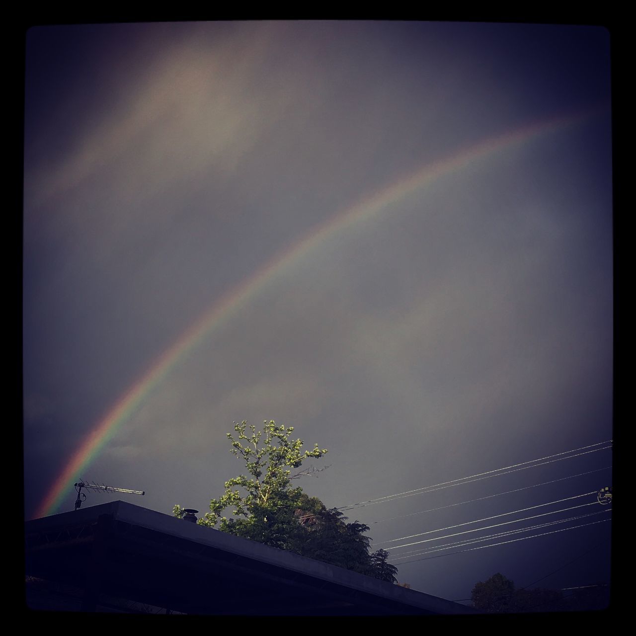 rainbow, low angle view, sky, scenics, tree, outdoors, no people, beauty in nature, nature, double rainbow, day, galaxy