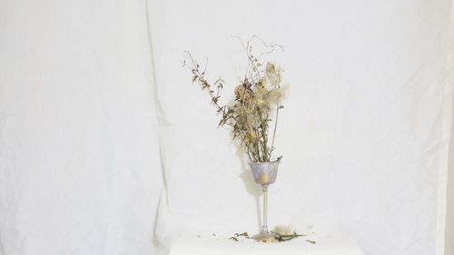 White flowers in vase on table against wall