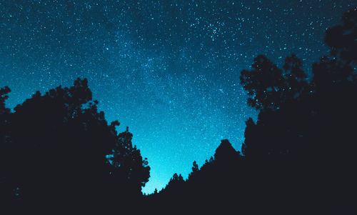 Low angle view of silhouette trees against blue sky at night