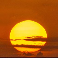 Close-up of orange sunset