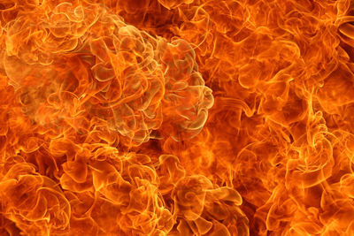 Close-up of yellow fire against black background