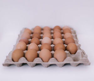 Close-up of eggs on white background