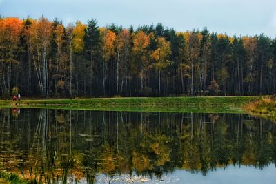 Reflection of trees in lake against sky