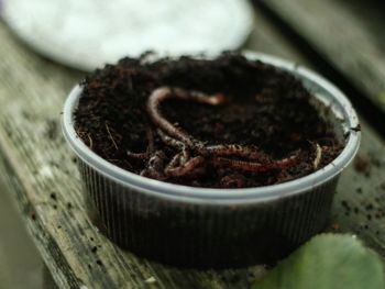 High angle view of chocolate in bowl on table