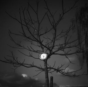 Low angle view of silhouette bare tree against sky at night