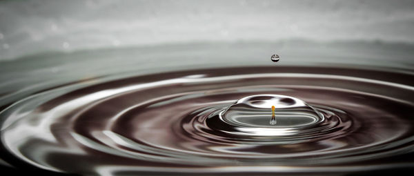 Close-up of water drop