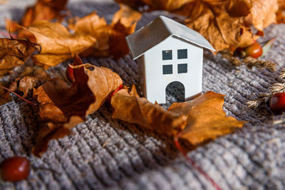 Autumnal background. toy house and dried orange fall maple leaves on grey knitted sweater